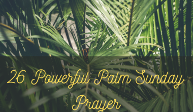 26 Powerful Palm Sunday Prayer