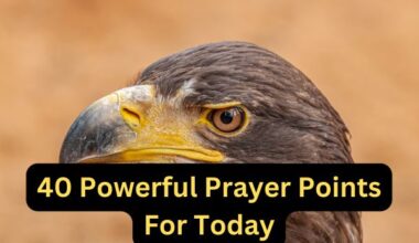40 Powerful Prayer Points For Today